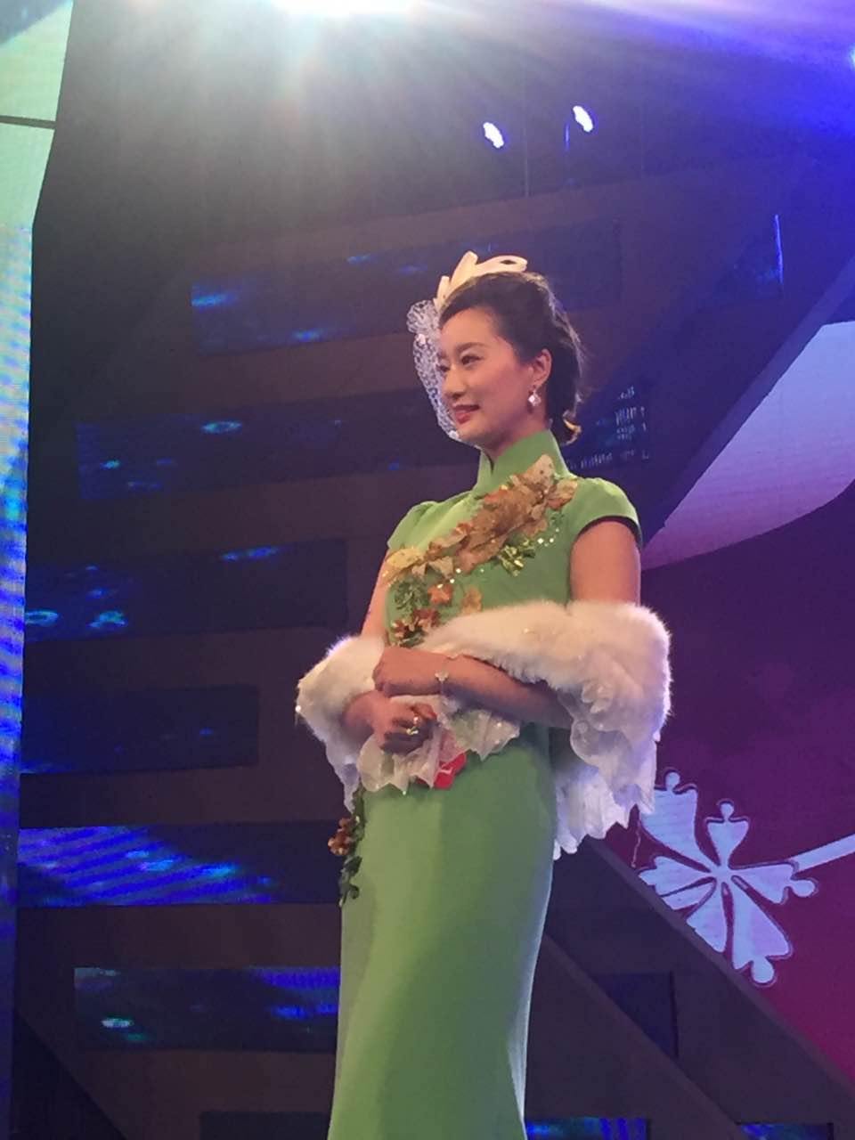 梅花节隆重开幕,二十六届中国南京国际梅花节