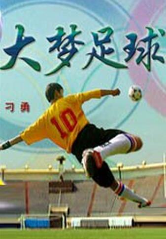 中国影视剧里的足球,中国关于足球的电视剧