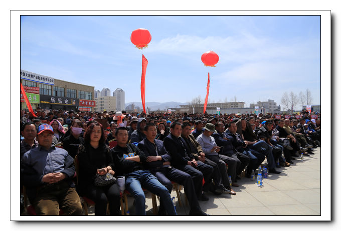 青海互助打起来了,昆仑对决又在青海互助上演搏击大战