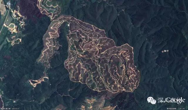 十年蜕变,沧海桑田,500万惠州人的共同记忆