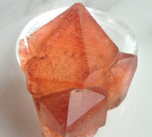 带你走进草莓世界,带你走进伊甸园