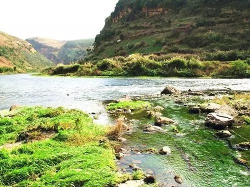 离石林不到20公里的地方,隐藏着昆明人没发现的苗王寨