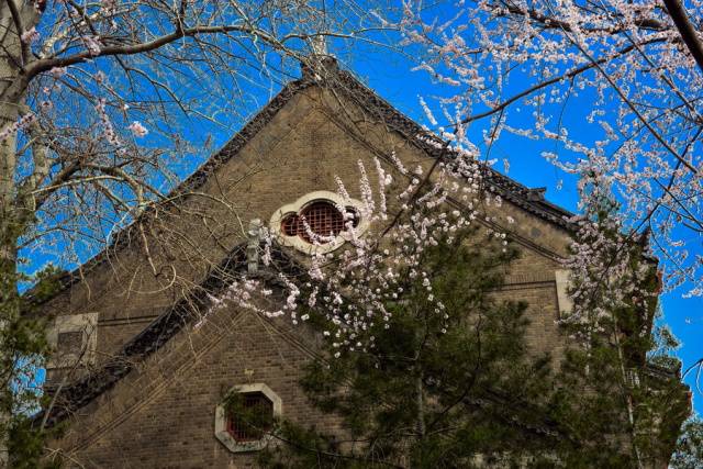 趣谈山大趵突泉校区,春风十里不如你