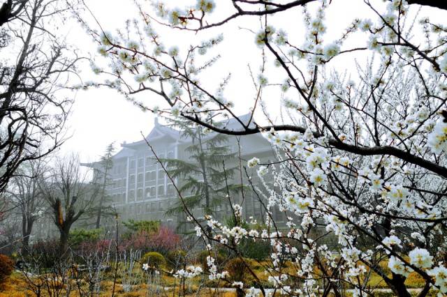 趣谈山大趵突泉校区,春风十里不如你