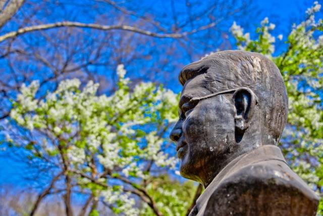 趣谈山大趵突泉校区,春风十里不如你