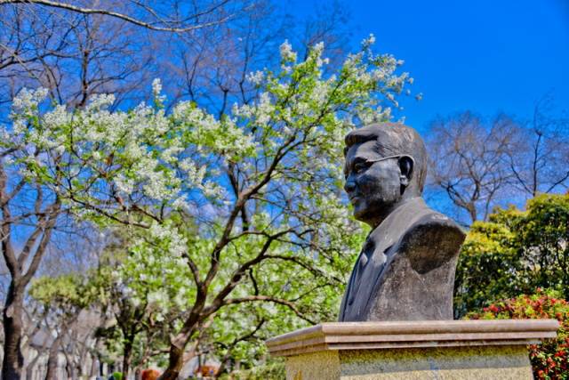 趣谈山大趵突泉校区,春风十里不如你