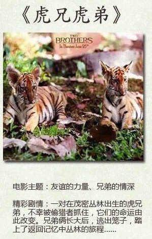 有助于孩子感恩的电影,七部激发孩子感恩心的电影