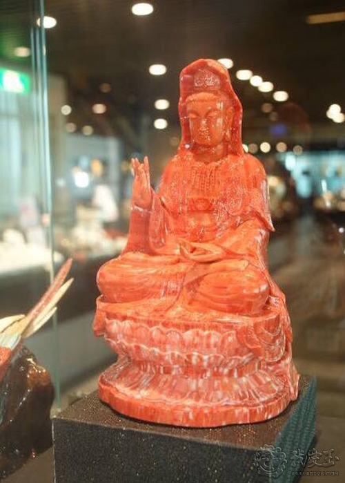 最好的红珊瑚是哪个,世界上最好的红珊瑚图片