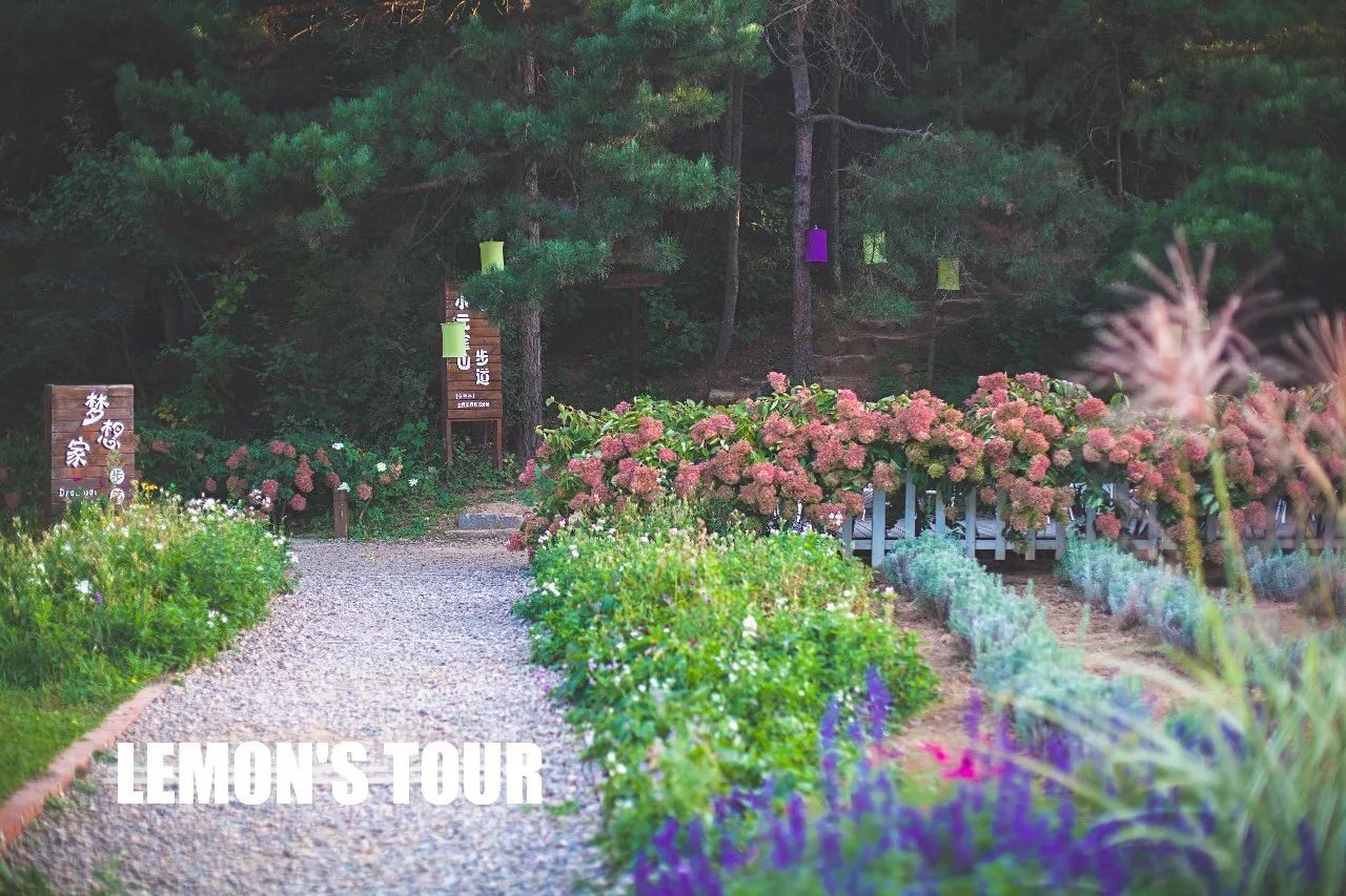 诺金度假酒店北京环球度假区,北京适合带孩子玩的度假酒店