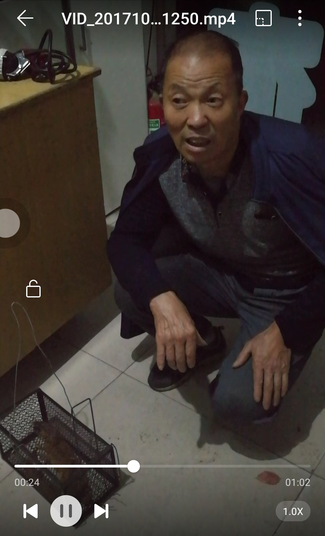 太原一居民国庆节捕家里老鼠确捕到了一直黄鼠狼!该怎么办?