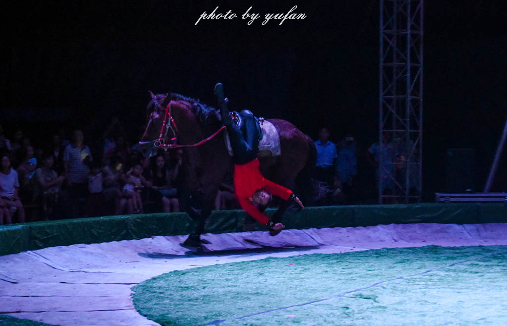 皇家大马戏巴伐利亚,广东哪里有大马戏