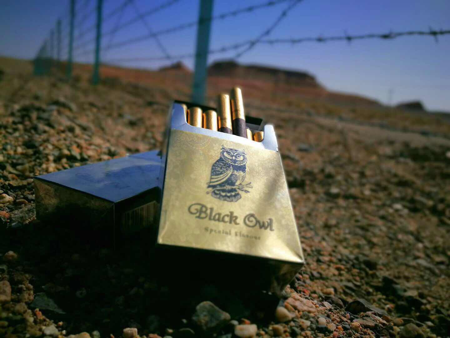 一群90后自驾*疆新**霍尔果斯解密中国哈萨克斯坦合作中心