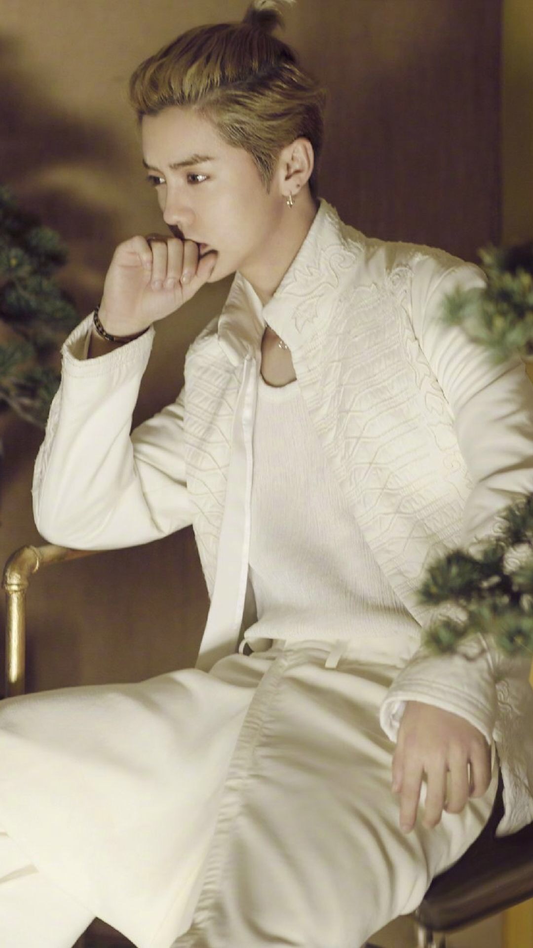 鹿晗高清手机壁纸大图,鹿晗高清壁纸2017卡通