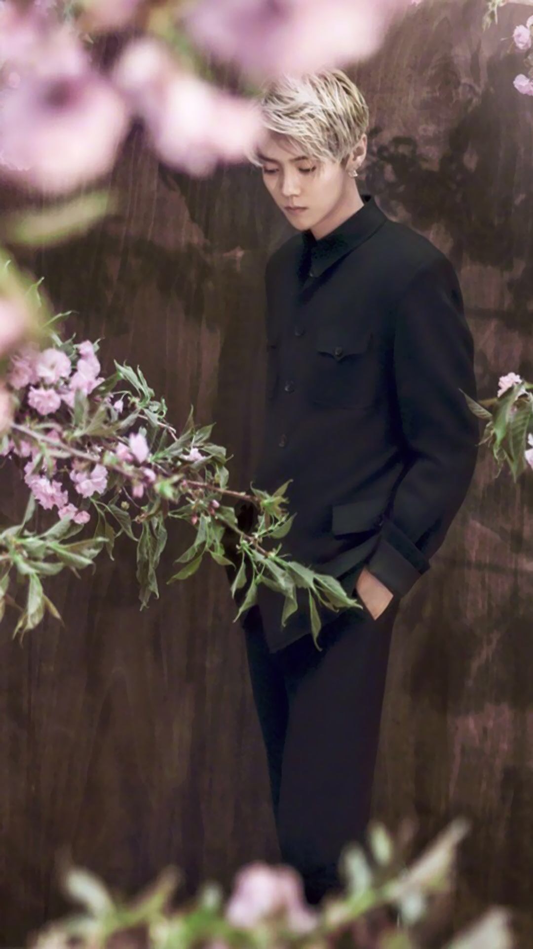 鹿晗高清手机壁纸大图,鹿晗高清壁纸2017卡通