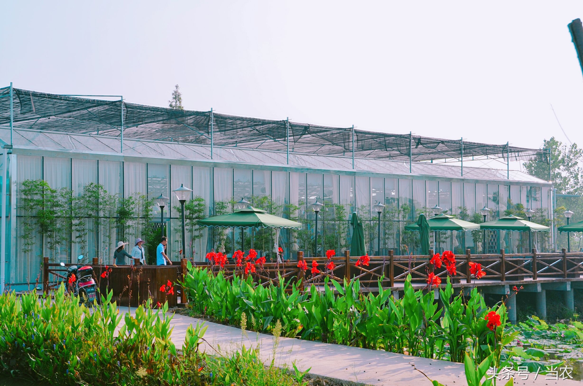 雨中浪漫的邂逅,花海中的浪漫邂逅