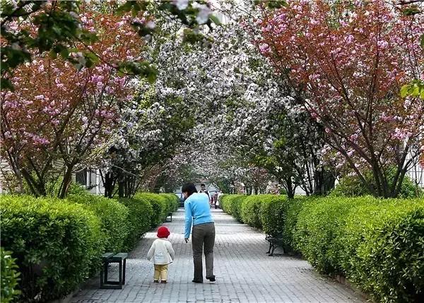 天津河西区全运村各小区学区划分,天津河西区全运村