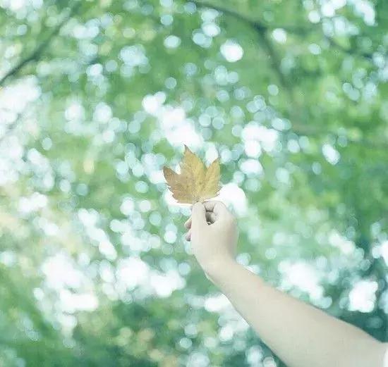 个性签名遇见懂我的人,冷静一段时间的个性签名