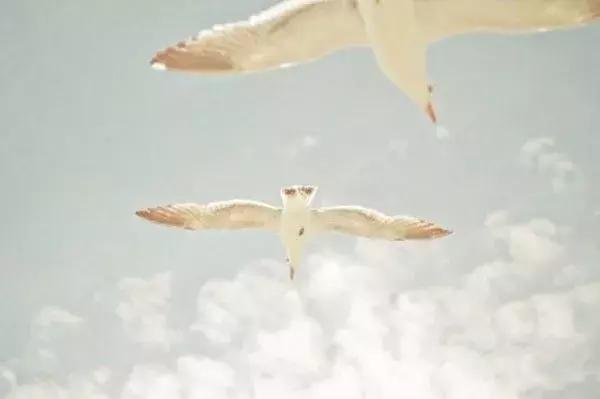 个性签名遇见懂我的人,冷静一段时间的个性签名