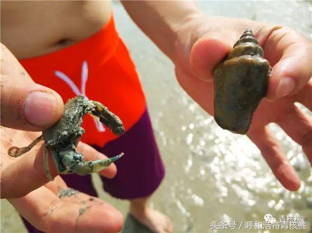 刷我滴卡泰国话,刷我滴卡泰国原版