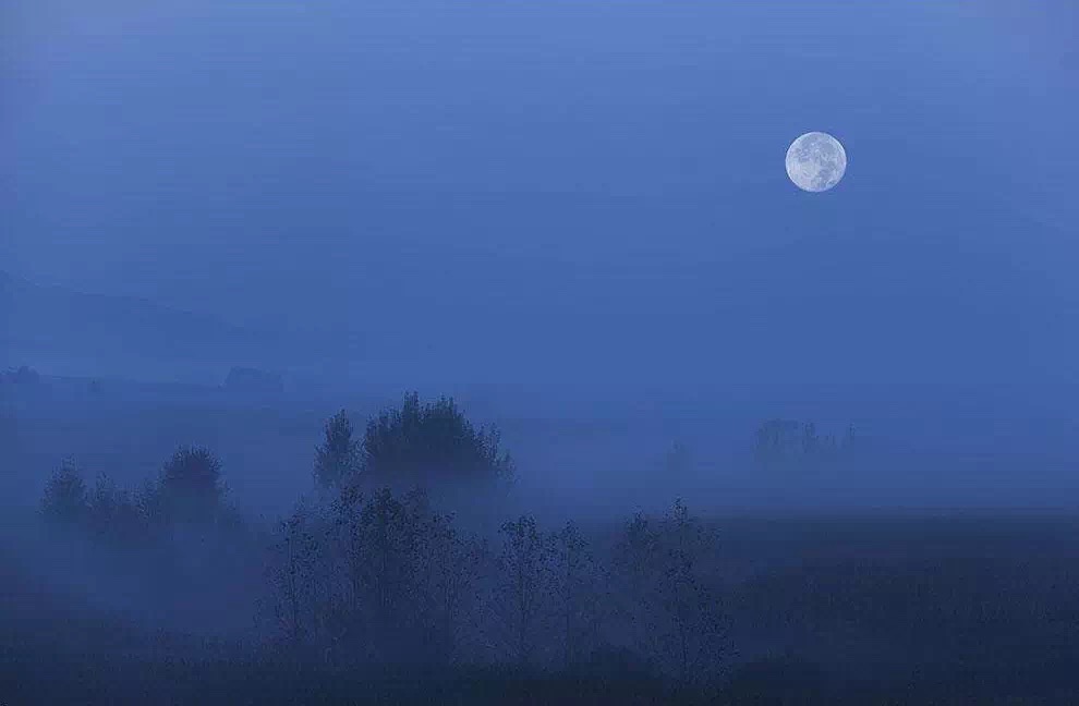 月是故乡圆短剧,月是故乡圆完整版