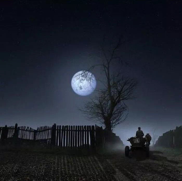 月是故乡圆短剧,月是故乡圆完整版