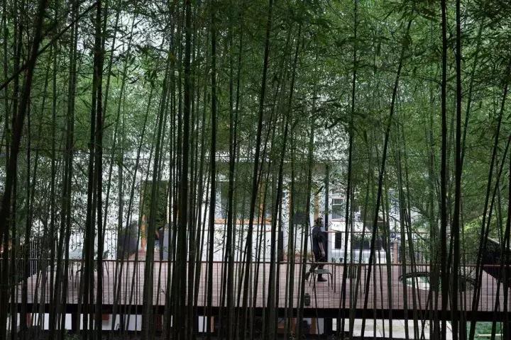 厉害了,很想拥有这样的雅居!