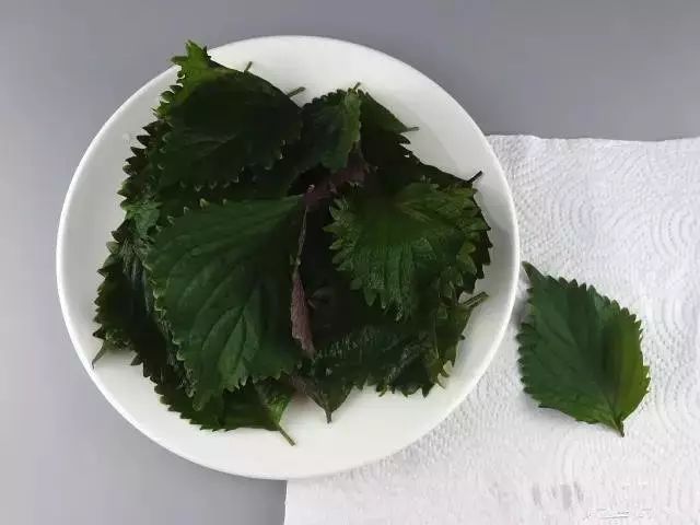 为什么饭店的酱油这么好吃,为什么饭店酱油不会很咸