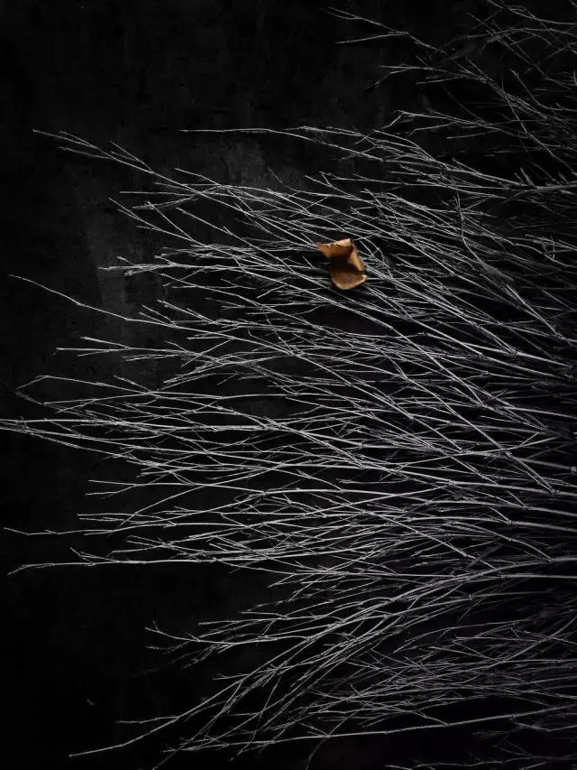 摄友摄影师作品,摄友照片点评