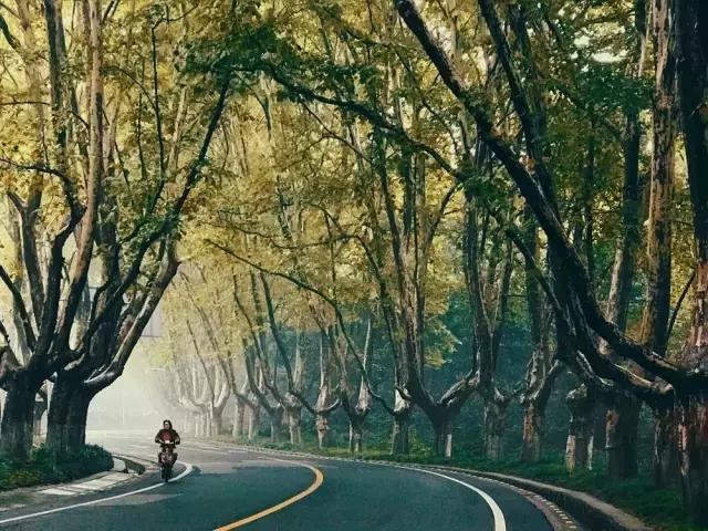 摄友摄影师作品,摄友照片点评