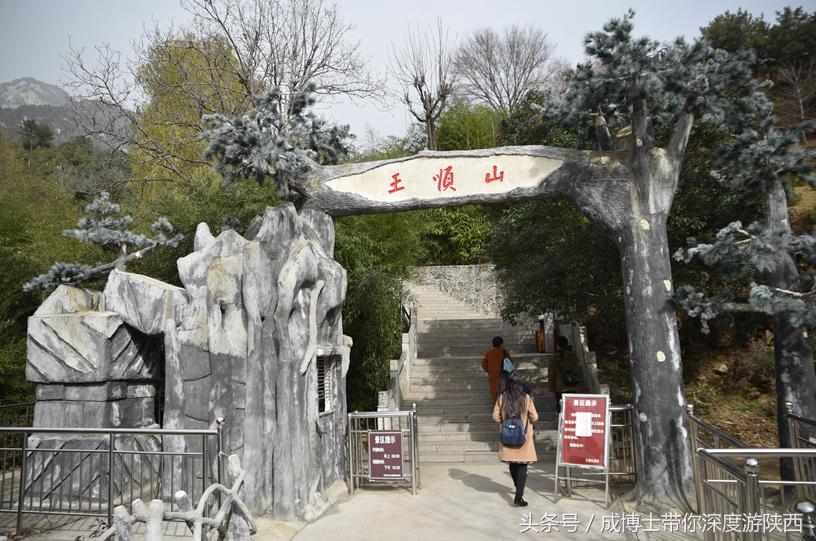 西安有银杏树旅游景区,西安旅游排名前十的景区有哪些