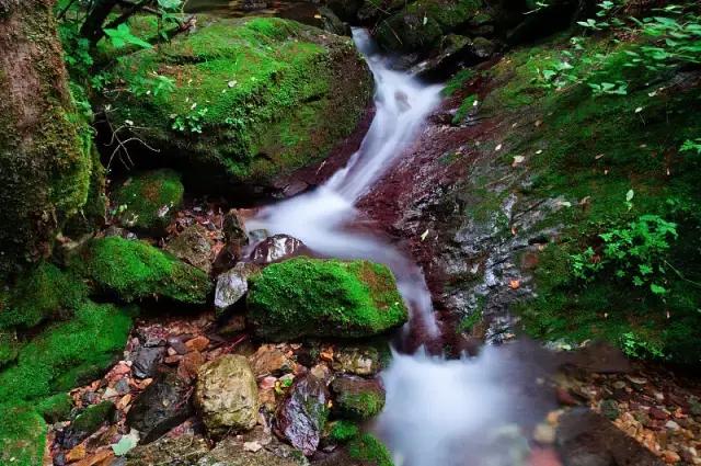 一场不期而遇的旅游攻略,一路走来的旅游攻略