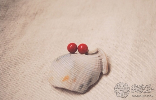 最好的红珊瑚是哪个,世界上最好的红珊瑚图片