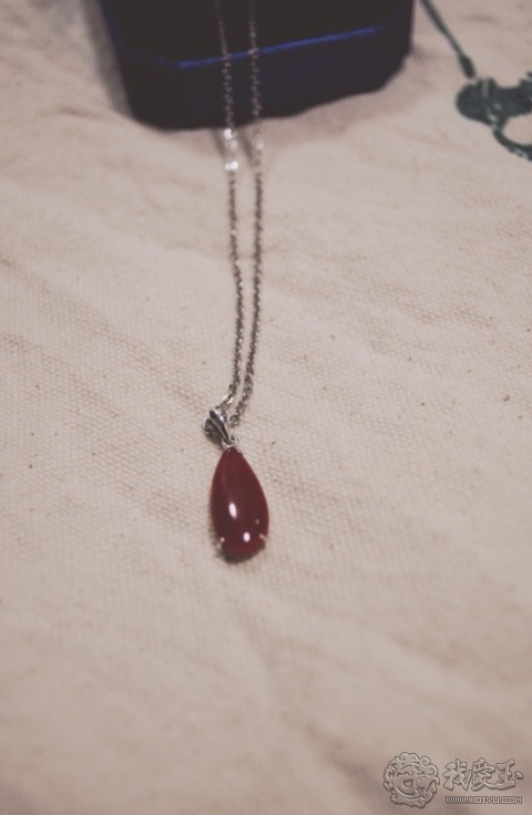 最好的红珊瑚是哪个,世界上最好的红珊瑚图片