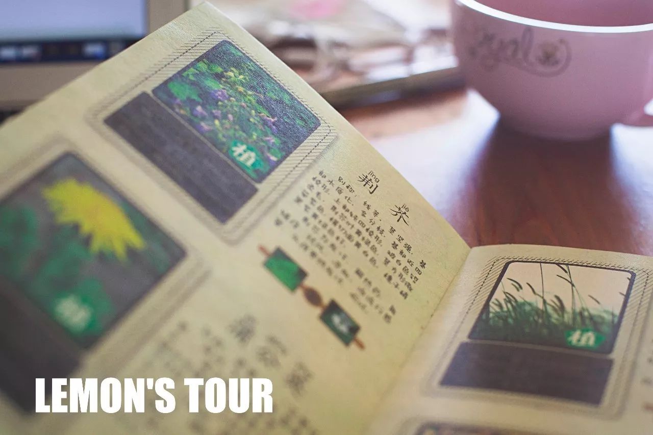 诺金度假酒店北京环球度假区,北京适合带孩子玩的度假酒店