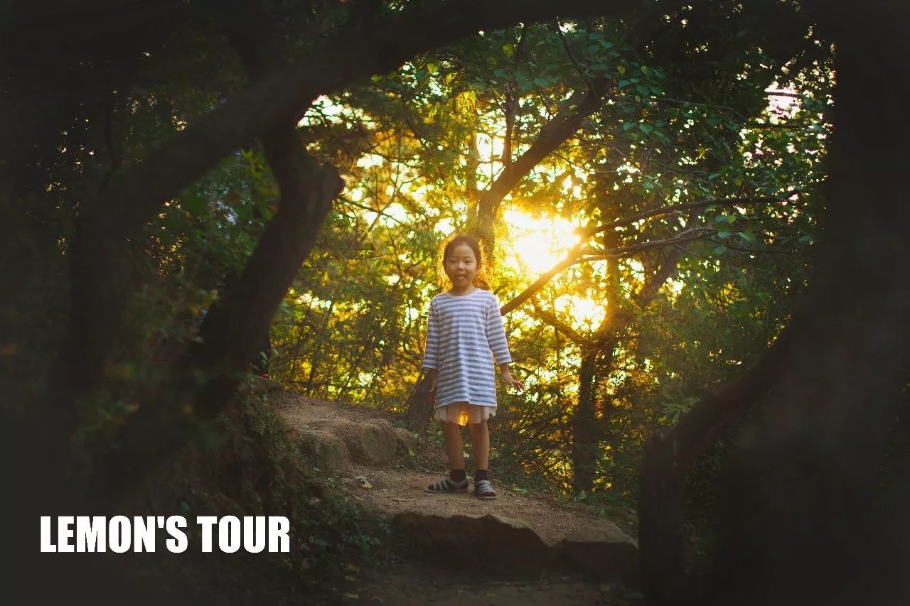 诺金度假酒店北京环球度假区,北京适合带孩子玩的度假酒店