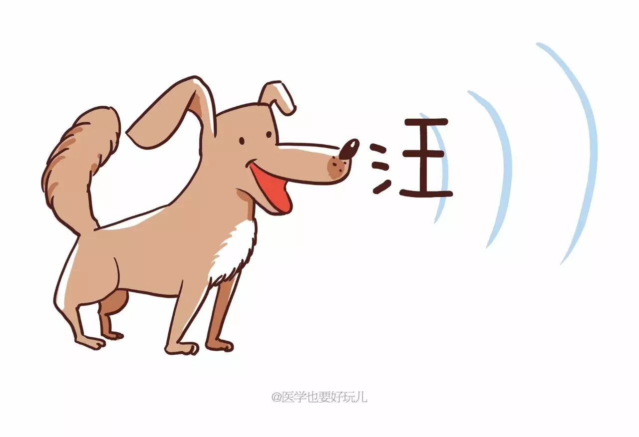 医学漫画科普｜国庆中秋出行坐飞机时，耳朵为什么会难受？