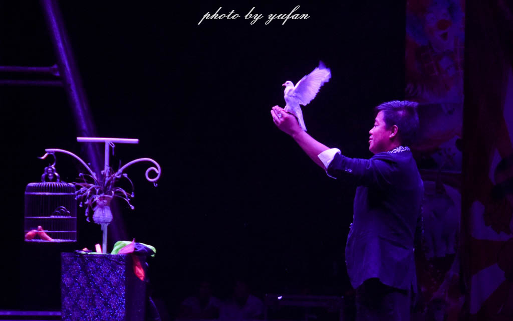 皇家大马戏巴伐利亚,广东哪里有大马戏