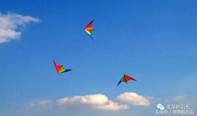 断了线的风筝并不能获得自由,断了线的风筝并不是自由而是坠落