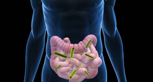 老放屁是怎么回事?那是身体发出的警告!