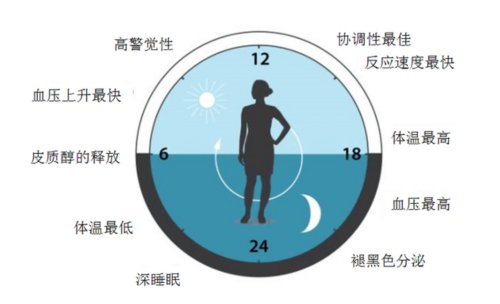 诺贝尔医学奖颁给生物钟新发现,我国古人两千年前就用其治病了