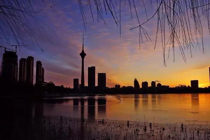 天津河西区全运村各小区学区划分,天津河西区全运村