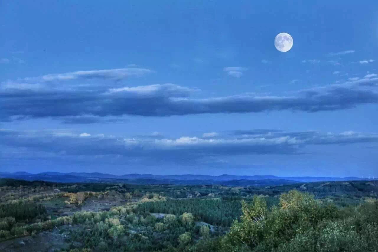 月是故乡圆短剧,月是故乡圆完整版