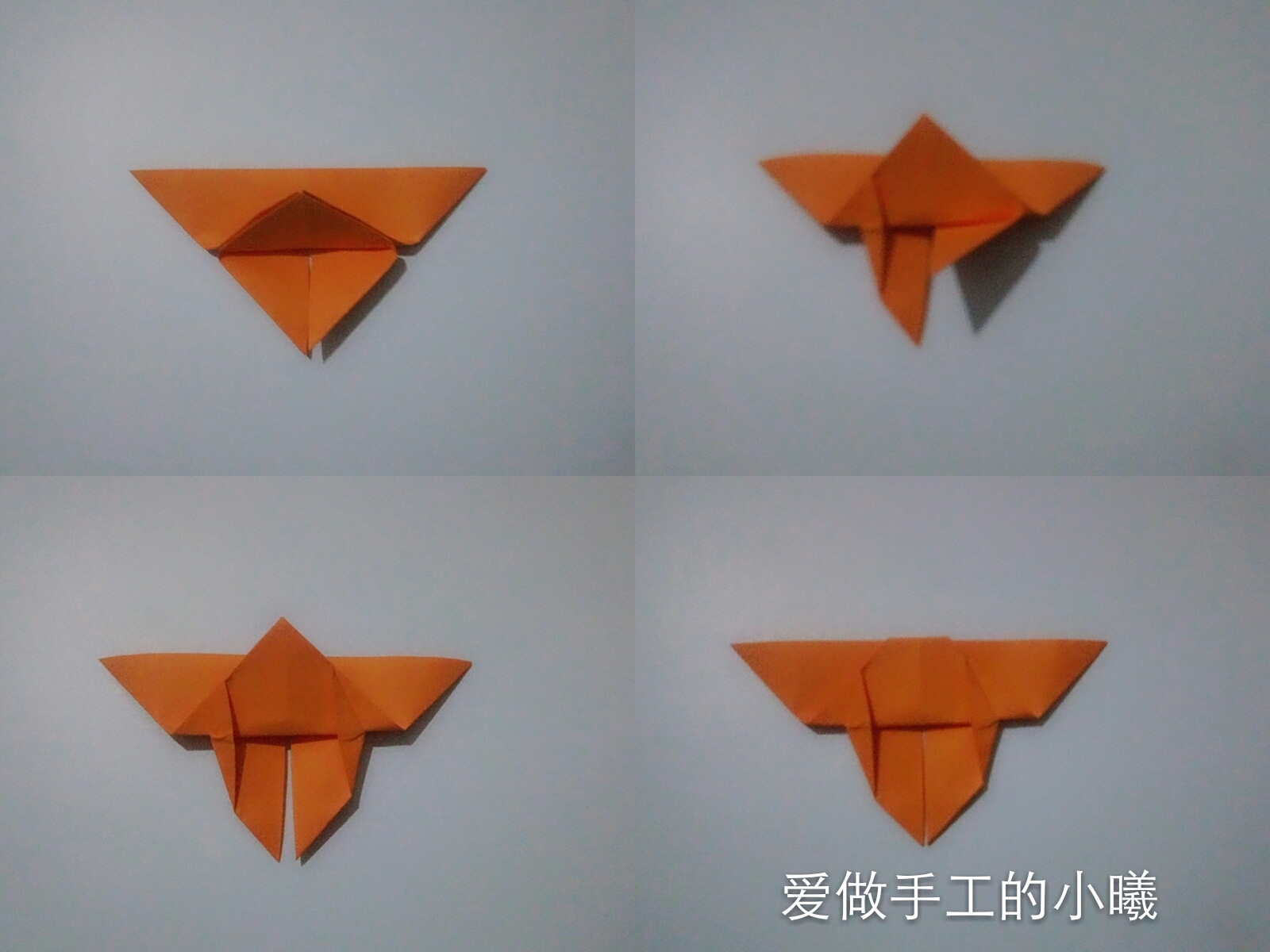 蝴蝶折纸教程看过来,所有蝴蝶折纸教程