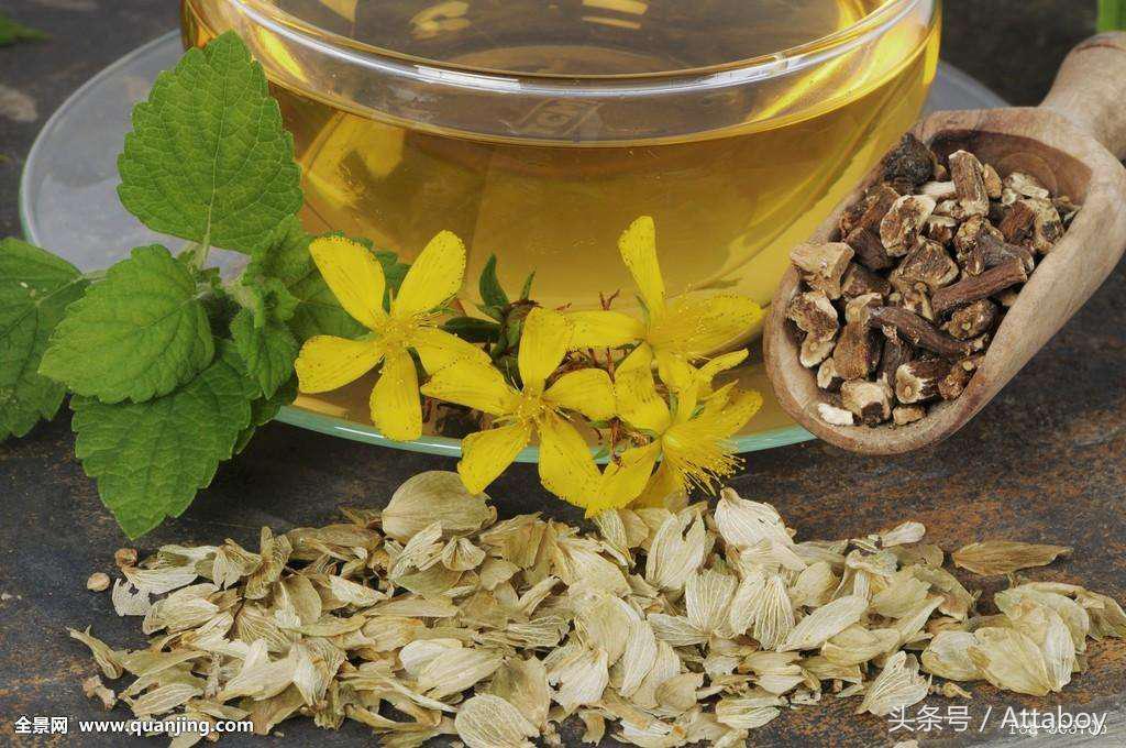 药茶现在状况,药茶趋势