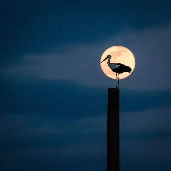 中秋节来历和习俗附中秋诗词,中秋节邂逅最美的中秋诗词