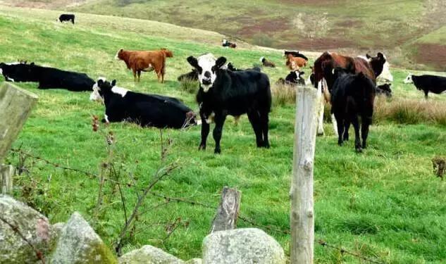 在义乌一天都呆不下去,你在义乌的真实生活