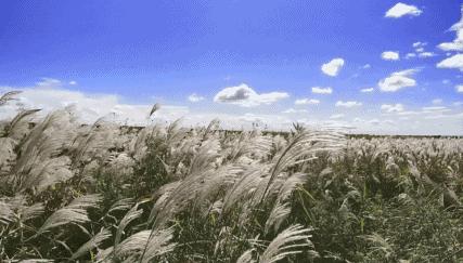 最好的我们免费看,最好的我们看剧