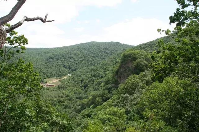 最好的我们免费看,最好的我们看剧