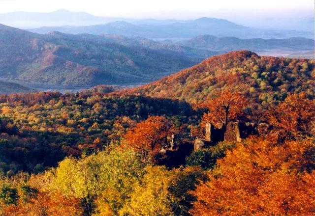 最好的我们免费看,最好的我们看剧