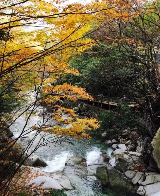 四川旅游攻略及各个景点门票价格,最新四川景点免票